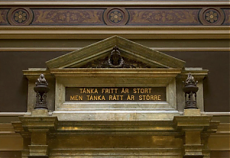 Президент СШЭ о чат-ботах